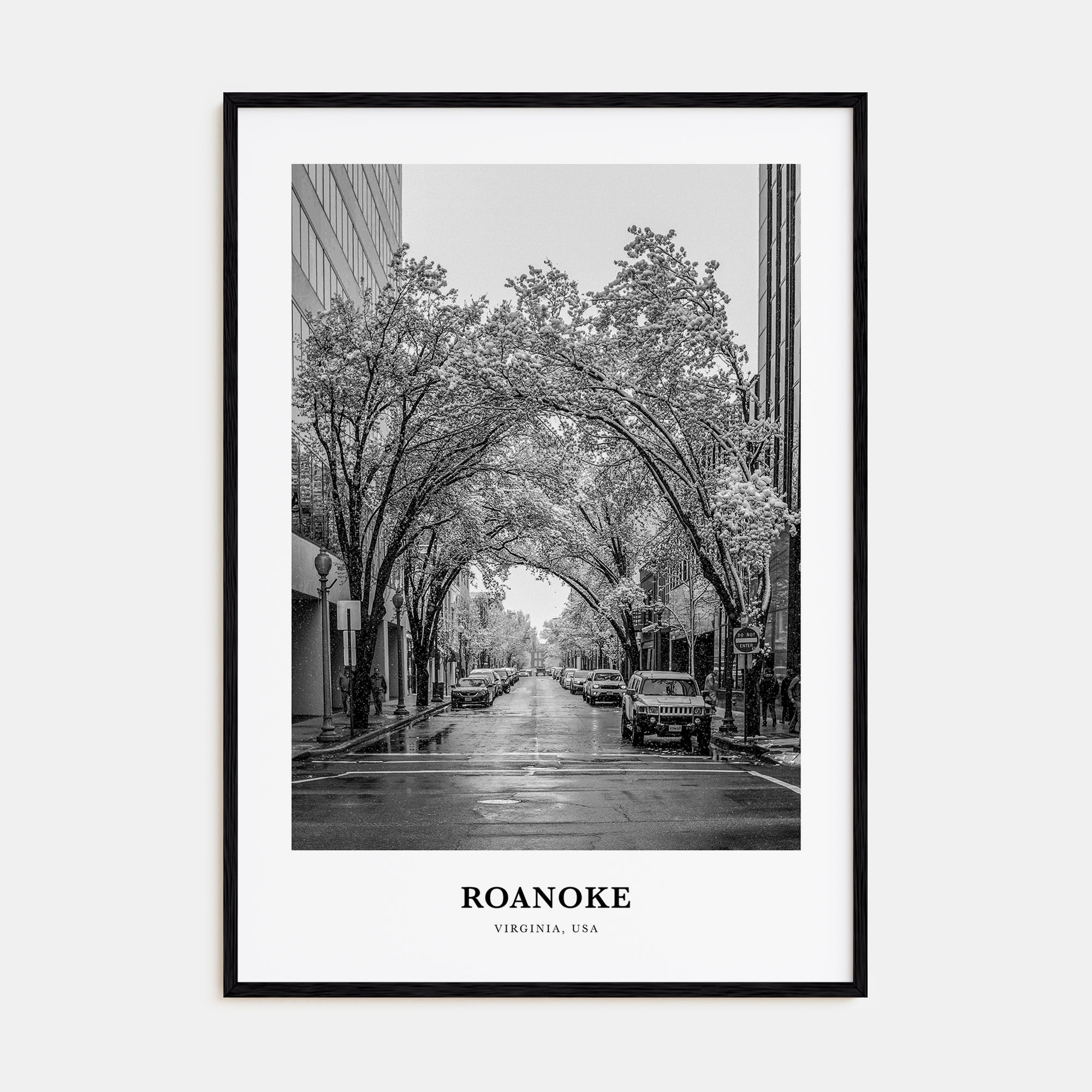 Roanoke Portrait B&W No 1 Poster