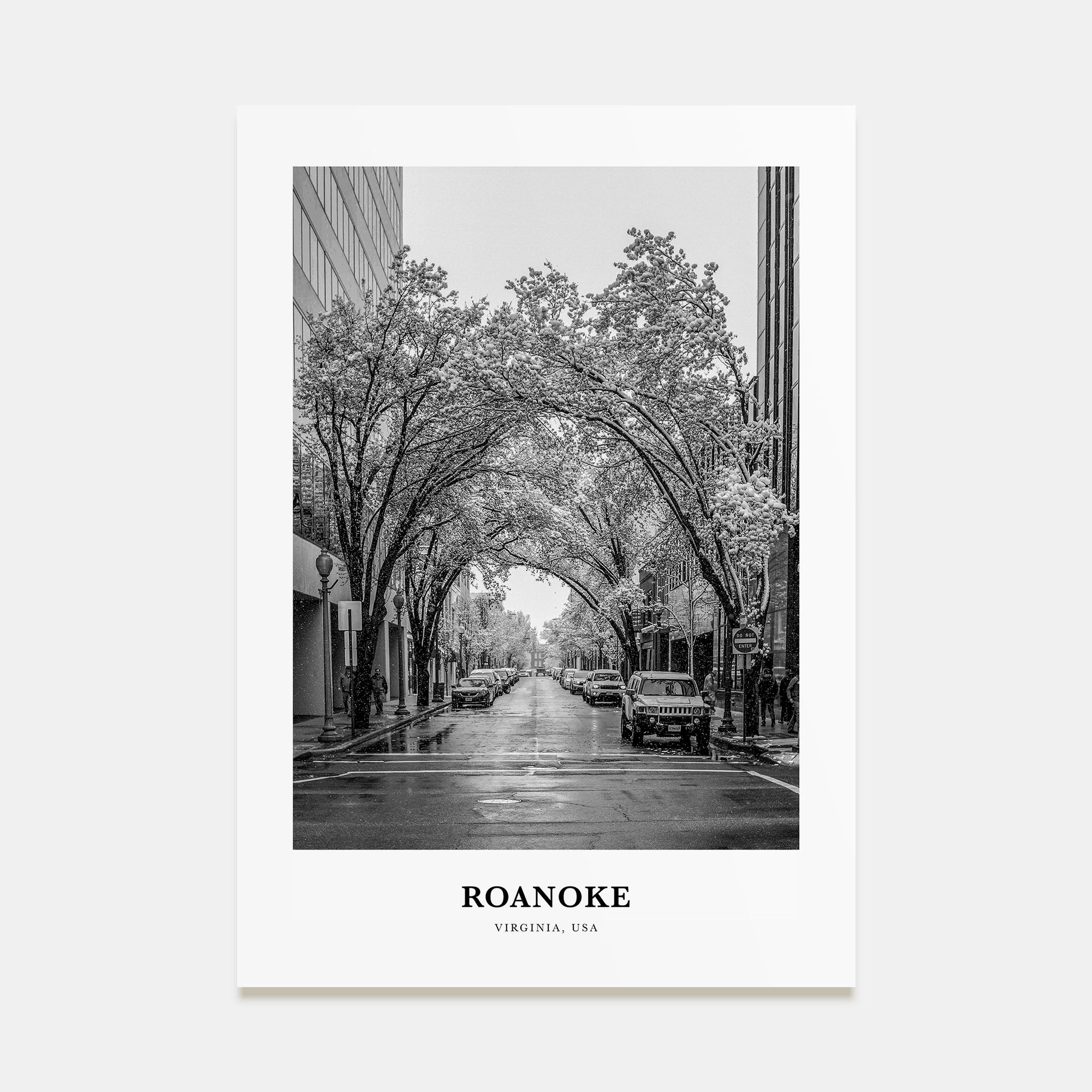 Roanoke Portrait B&W No 1 Poster