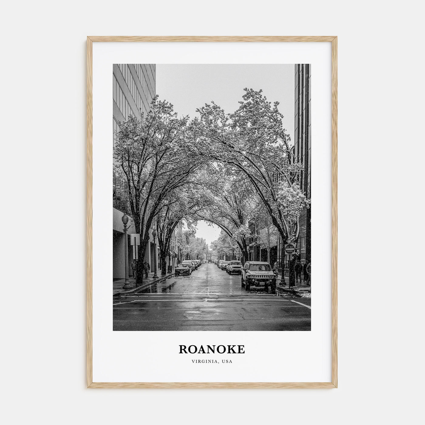 Roanoke Portrait B&W No 1 Poster