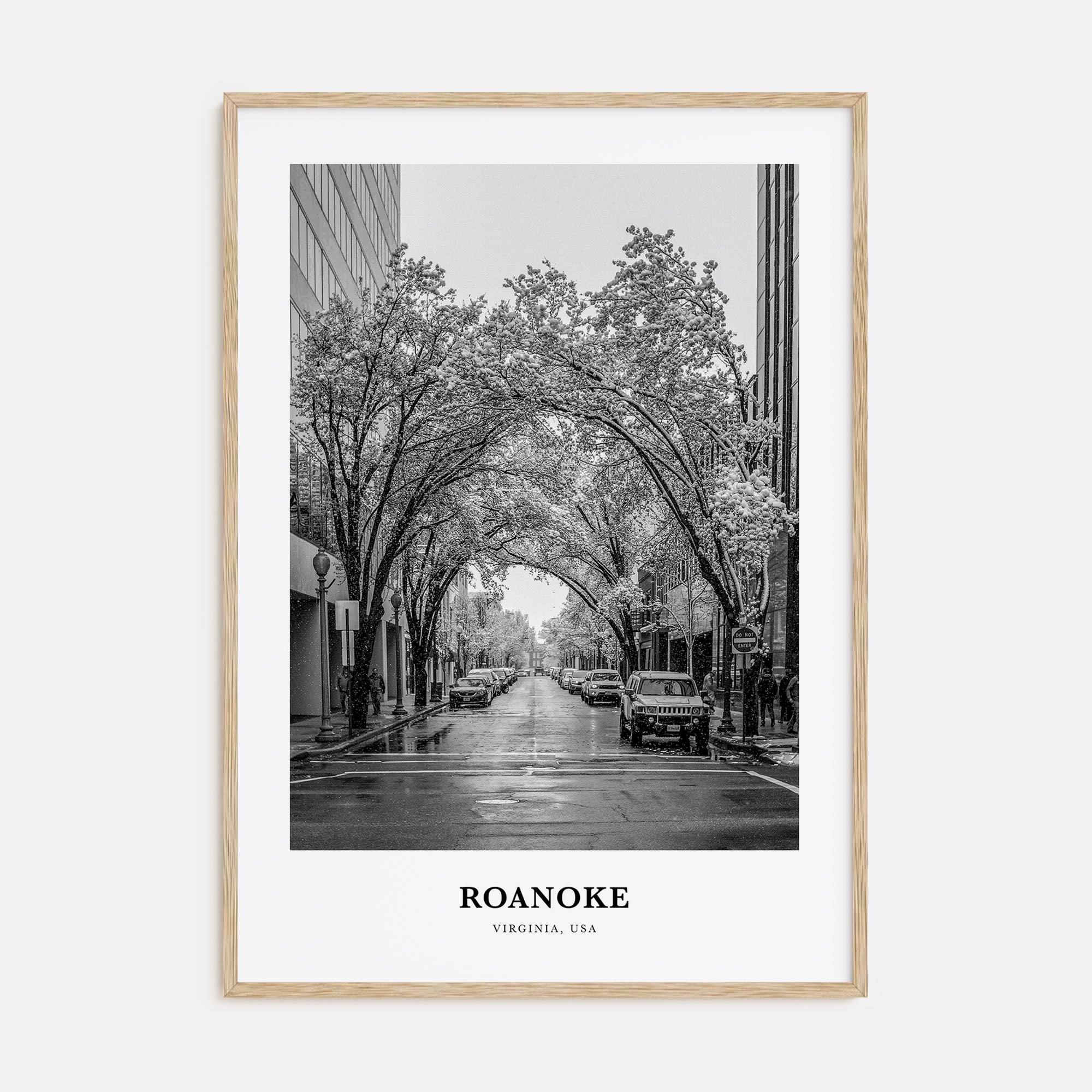 Roanoke Portrait B&W No 1 Poster