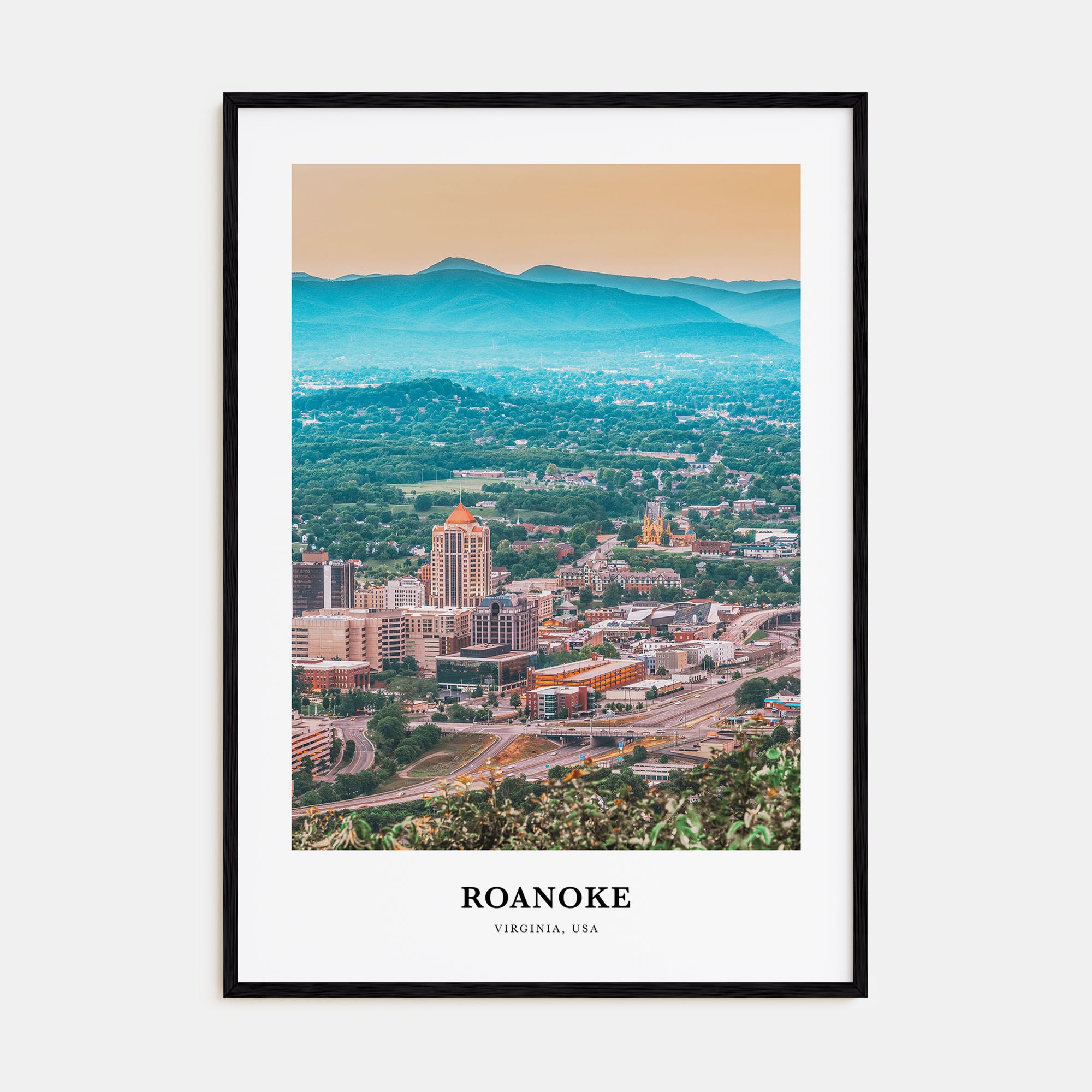 Roanoke Portrait Color Poster