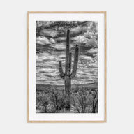 Saguaro National Park Photo B&W No 2 Poster