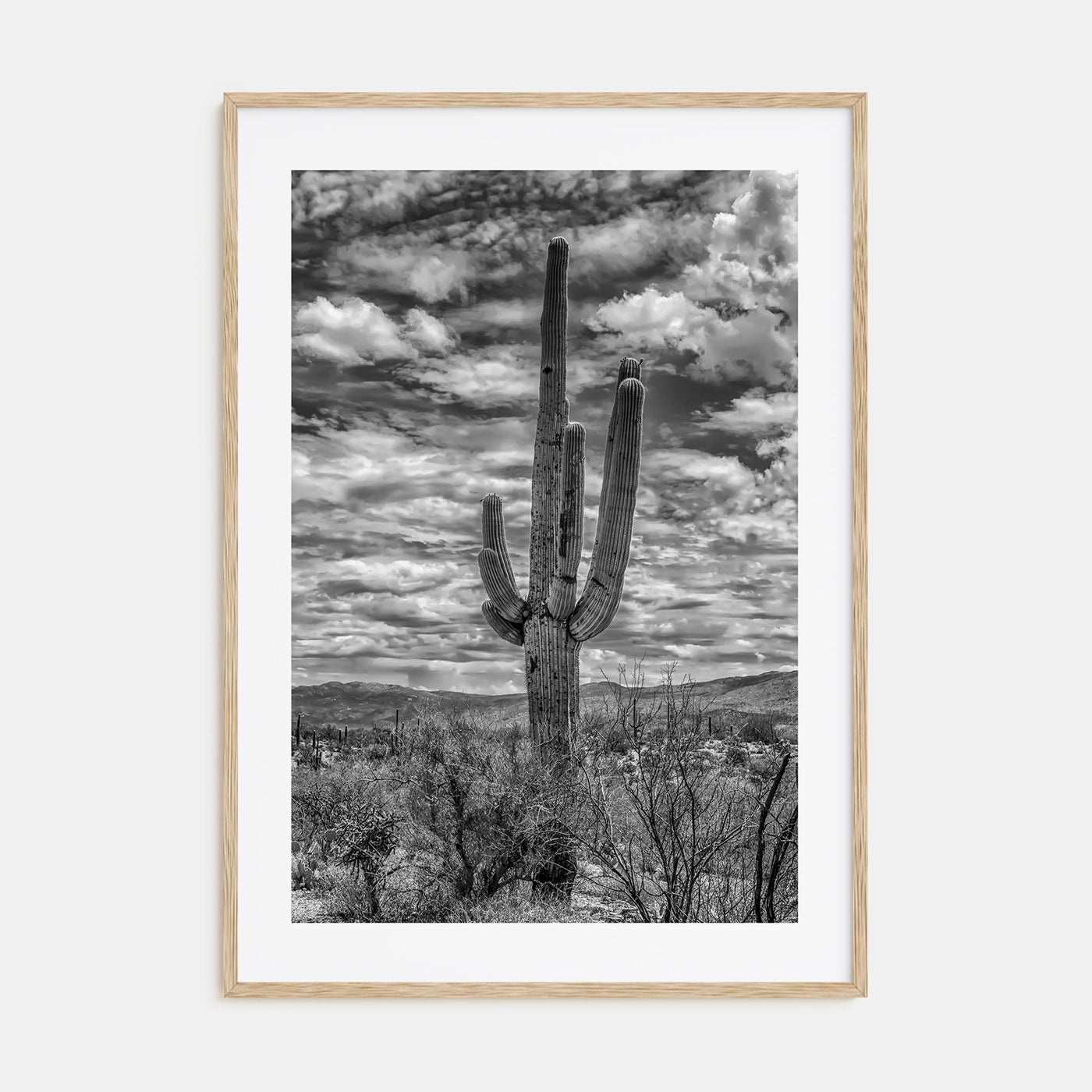 Saguaro National Park Photo B&W No 2 Poster