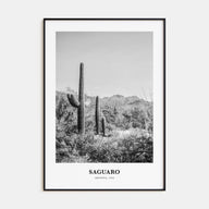 Saguaro National Park Portrait B&W Poster