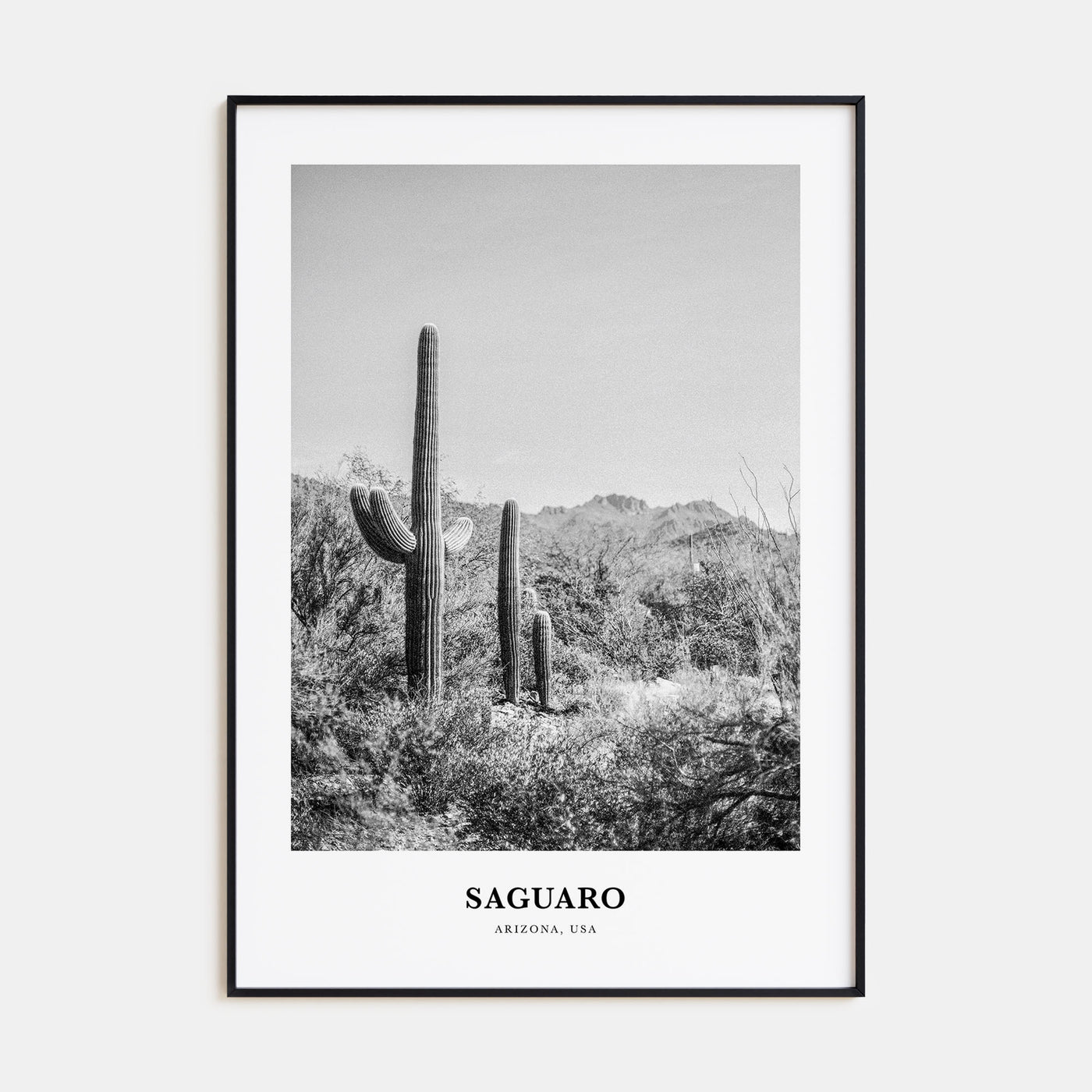 Saguaro National Park Portrait B&W Poster