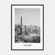 Saguaro National Park Portrait B&W Poster