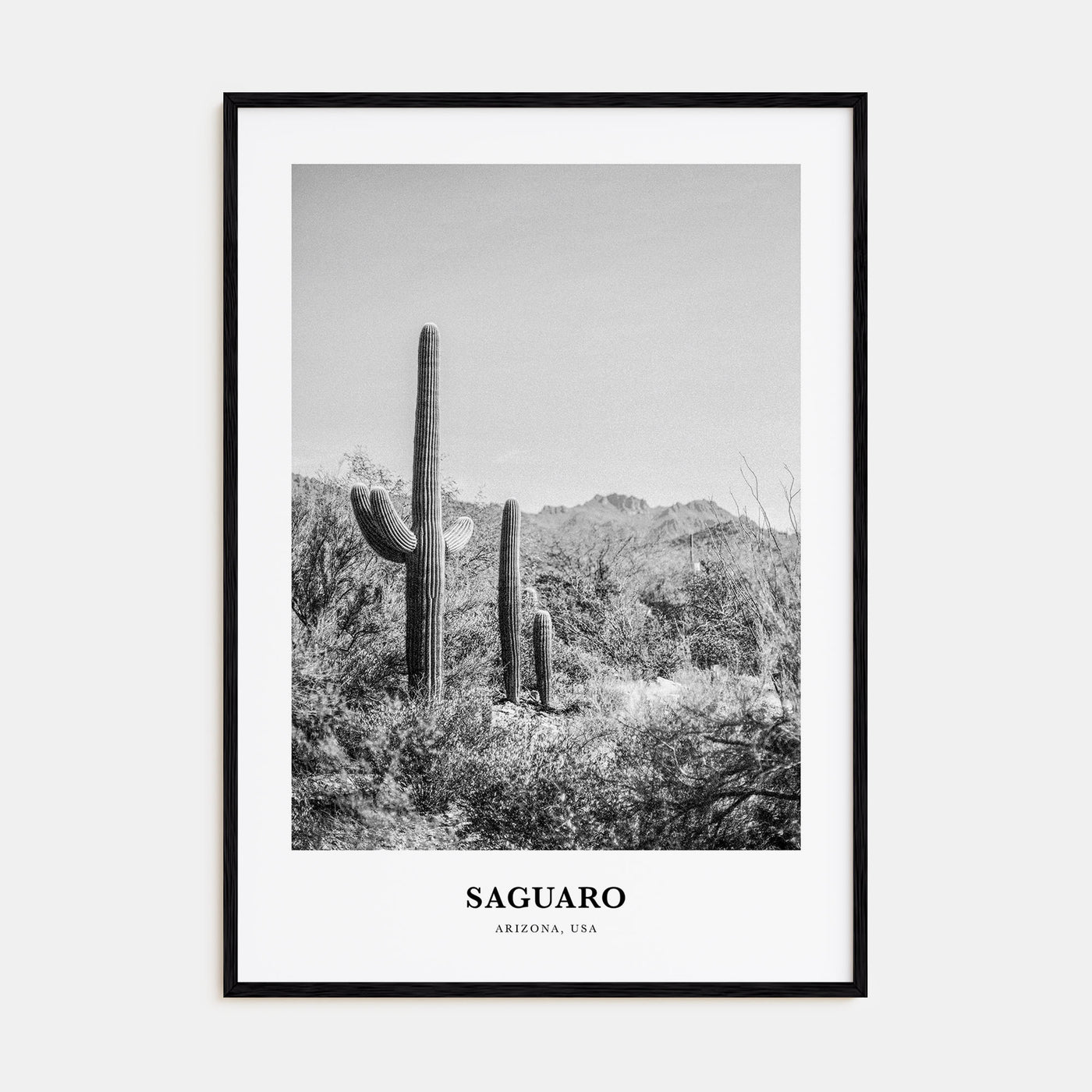 Saguaro National Park Portrait B&W Poster