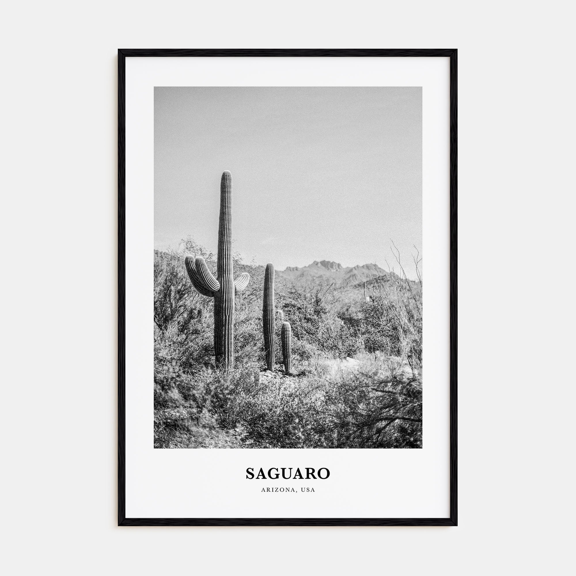 Saguaro National Park Portrait B&W Poster