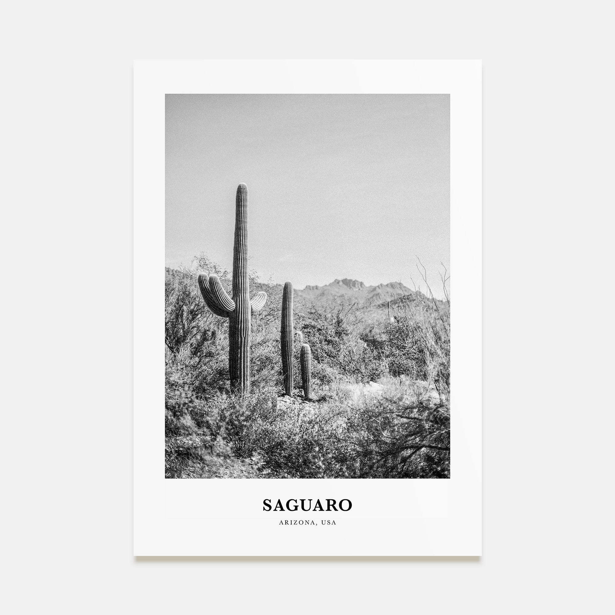 Saguaro National Park Portrait B&W Poster