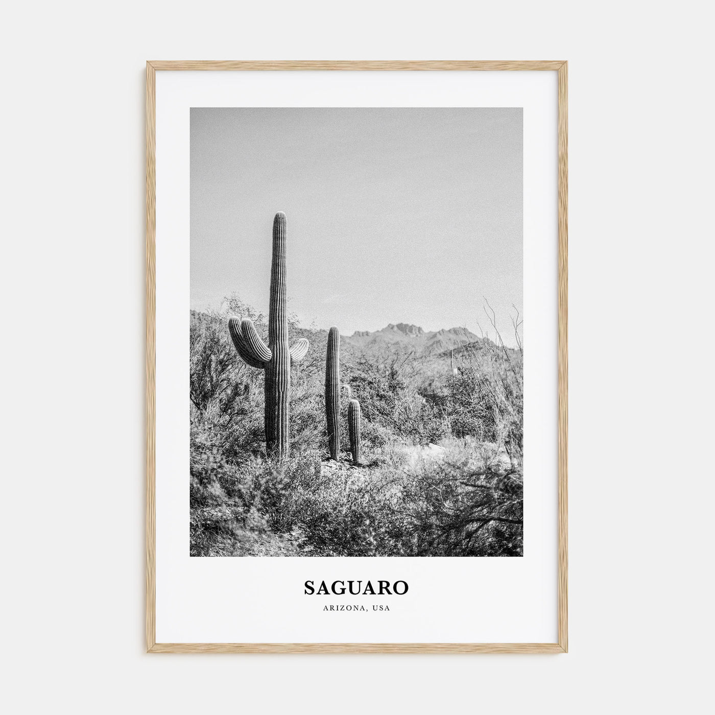 Saguaro National Park Portrait B&W Poster