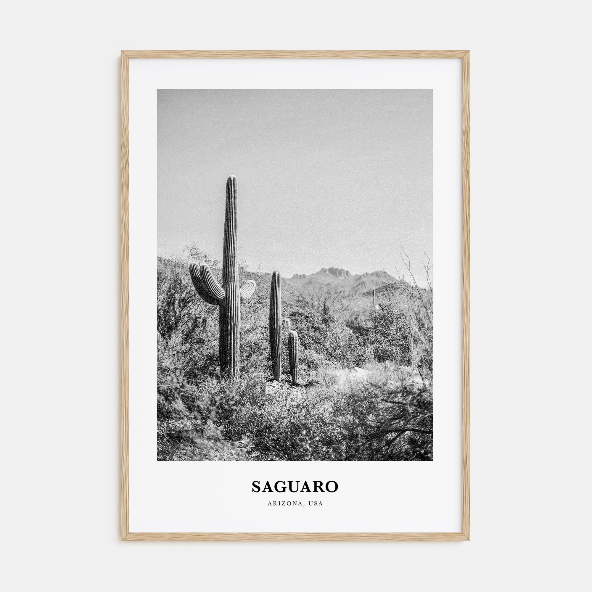 Saguaro National Park Portrait B&W Poster