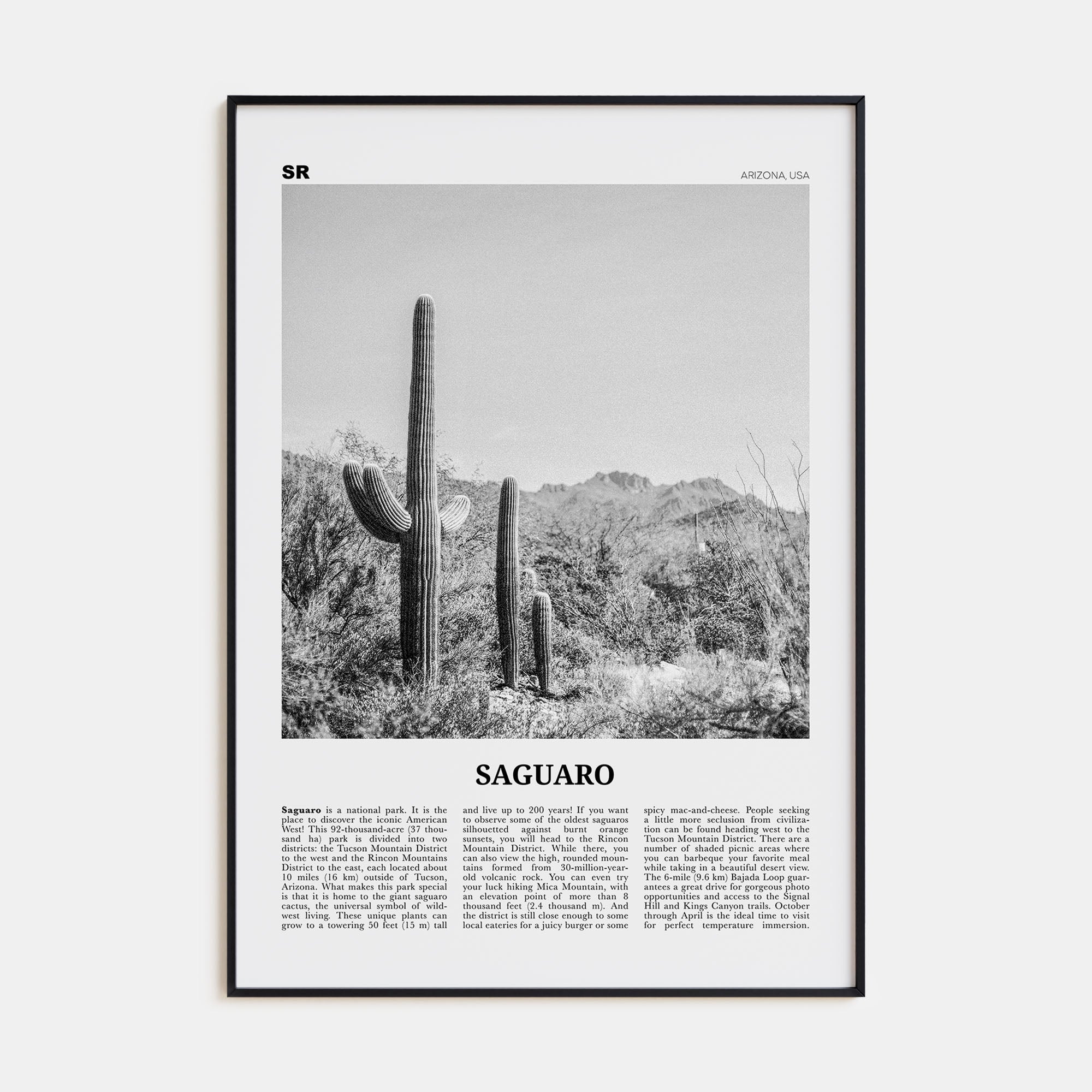 Saguaro National Park Travel B&W Poster