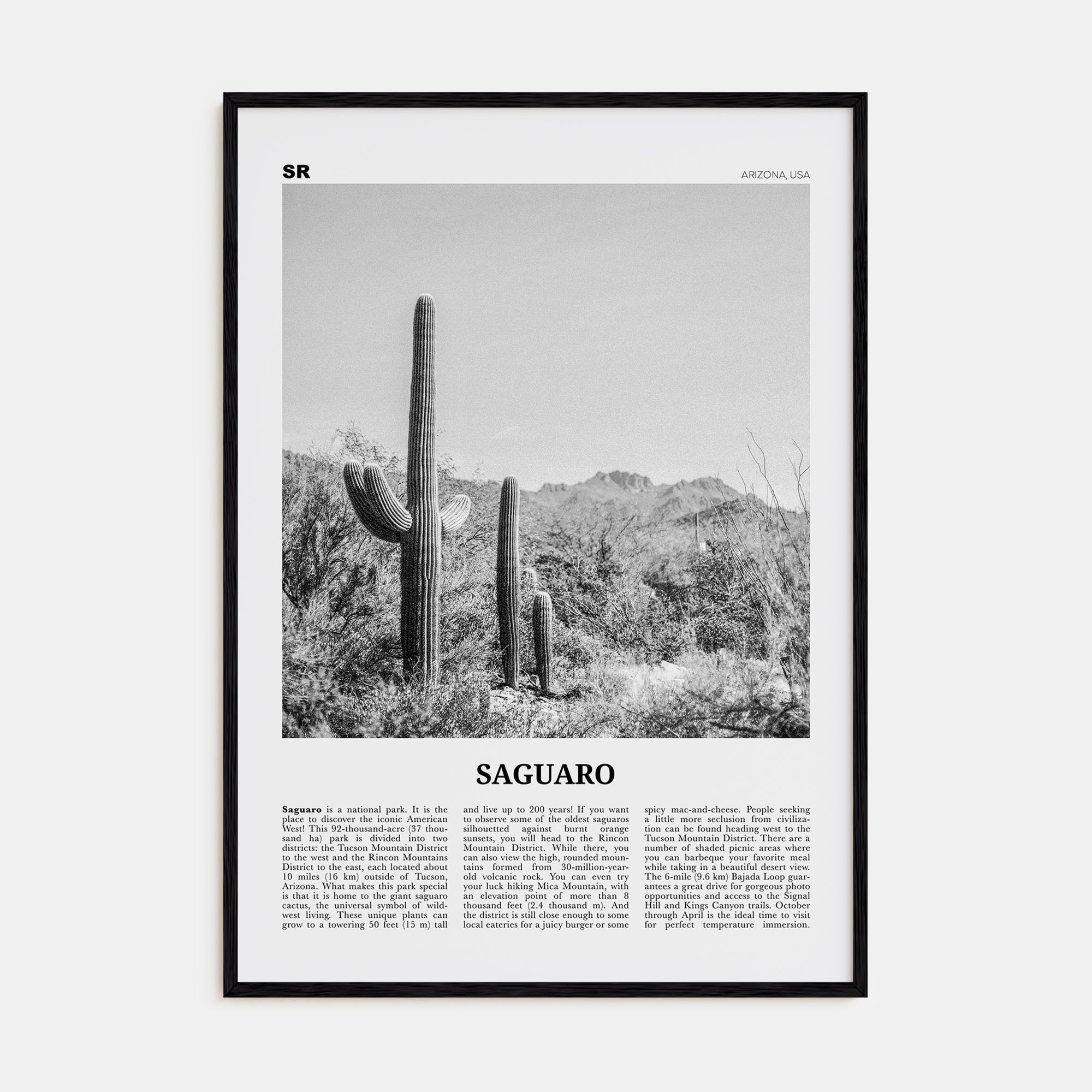 Saguaro National Park Travel B&W Poster