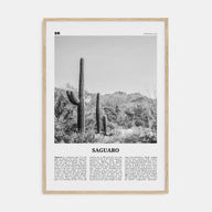 Saguaro National Park Travel B&W Poster