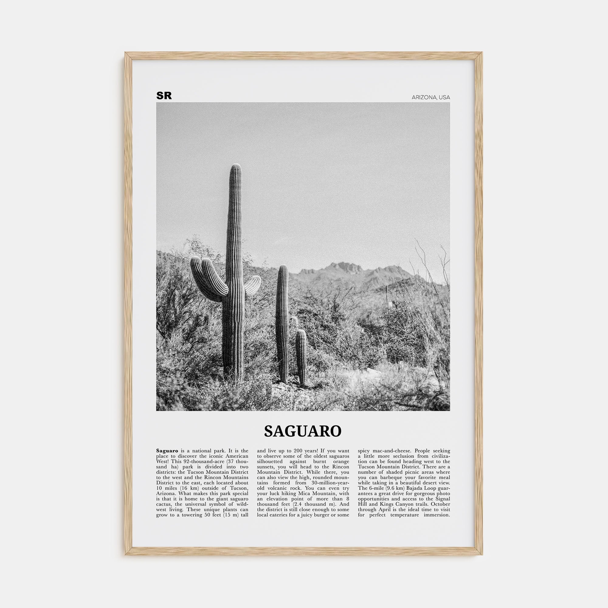 Saguaro National Park Travel B&W Poster