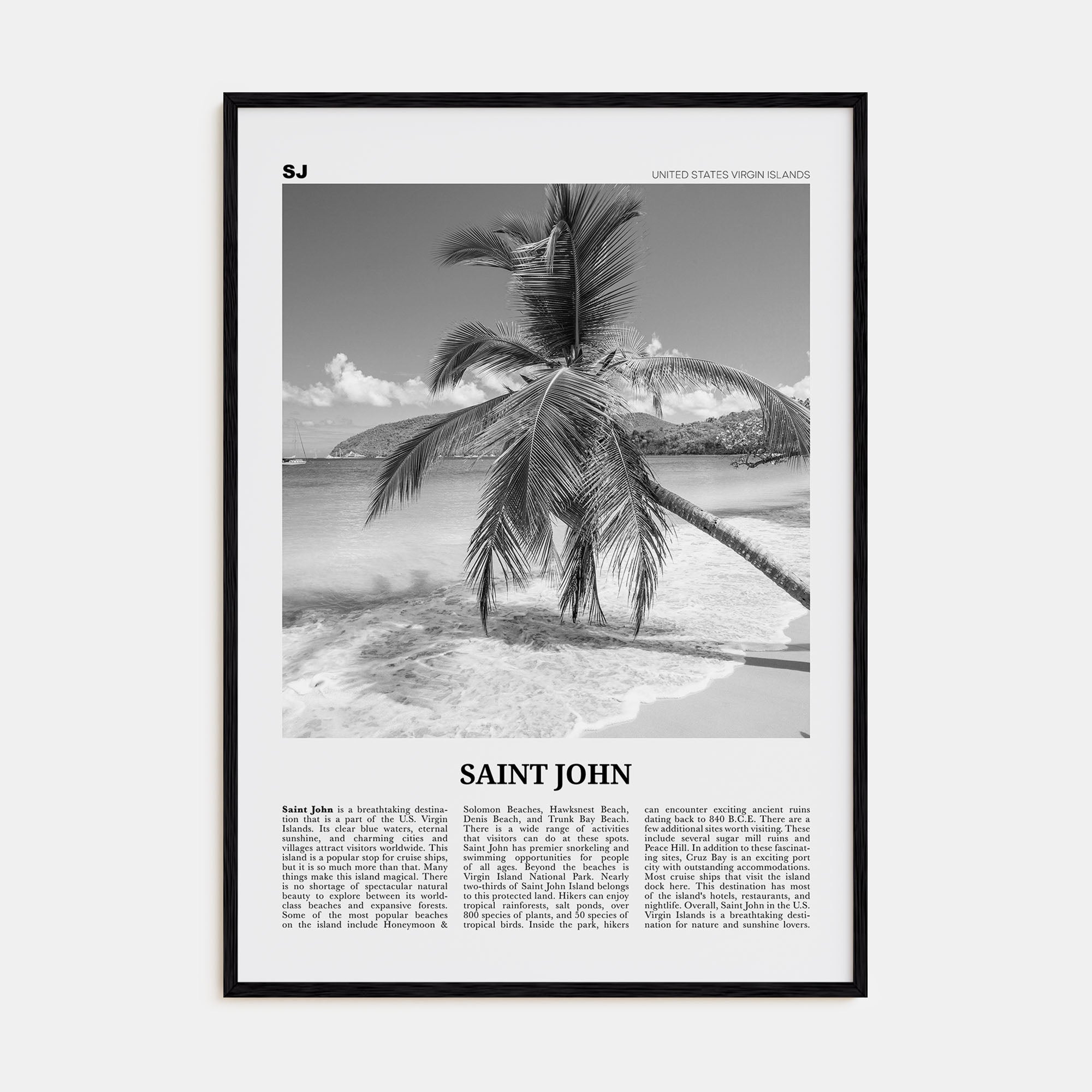Saint John Travel B&W Poster