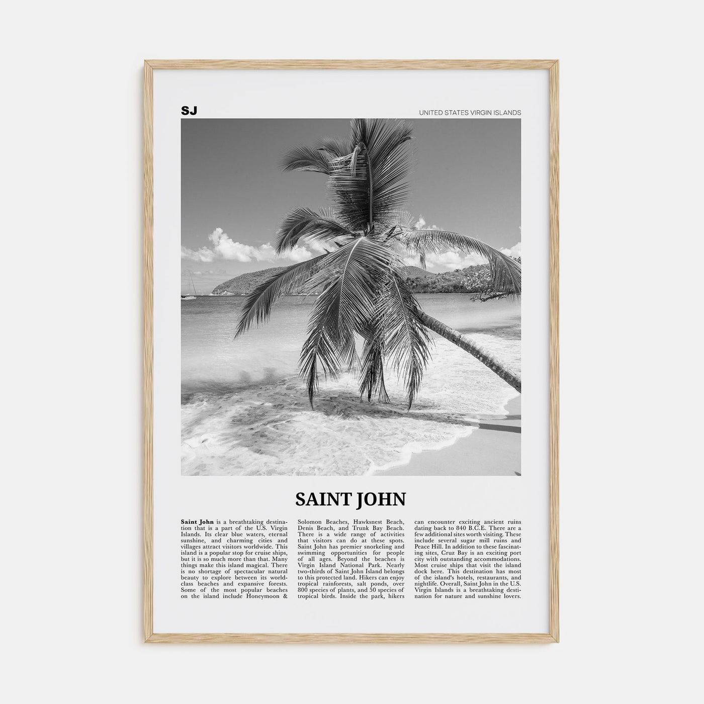 Saint John Travel B&W Poster