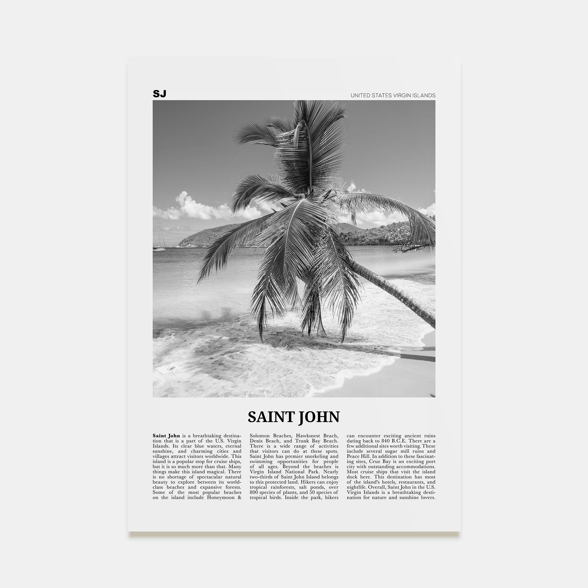Saint John Travel B&W Poster