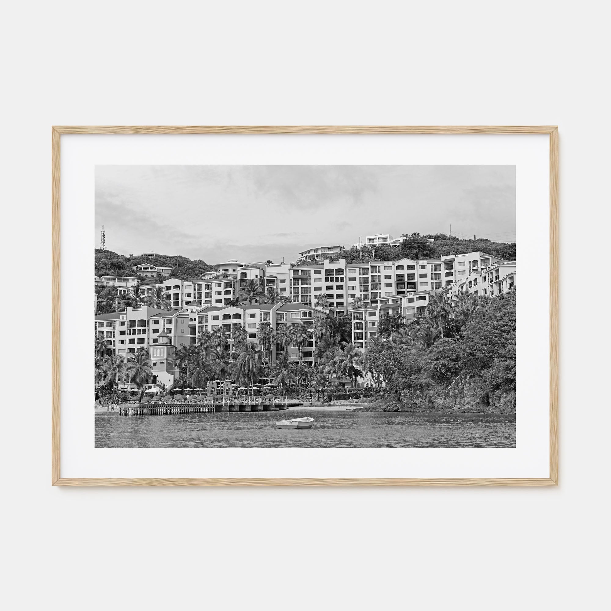 Saint Thomas Landscape B&W Poster