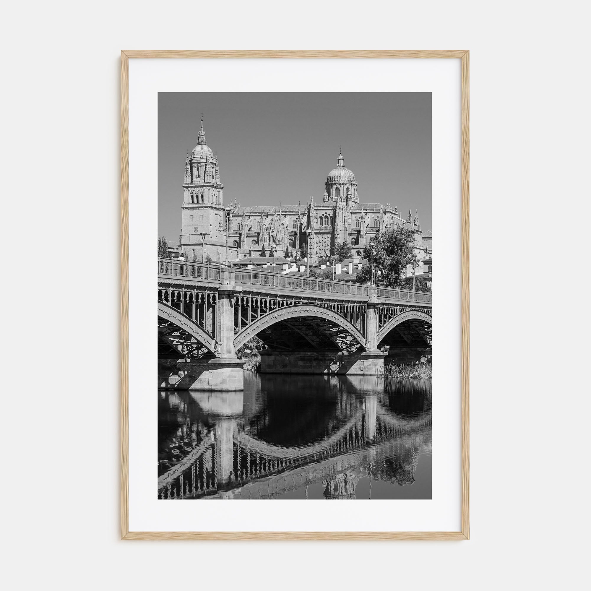 Salamanca Photo B&W Poster
