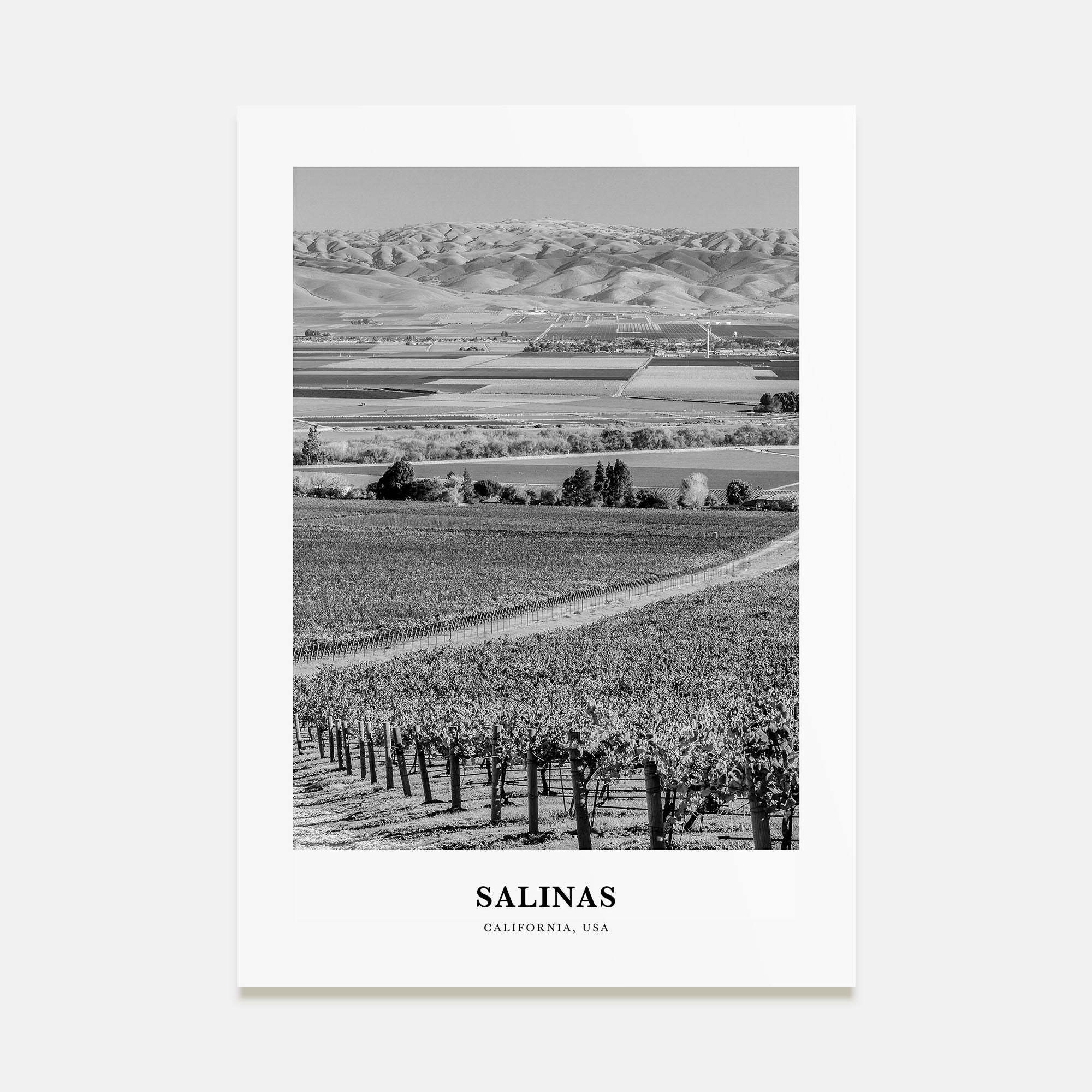 Salinas Portrait B&W Poster