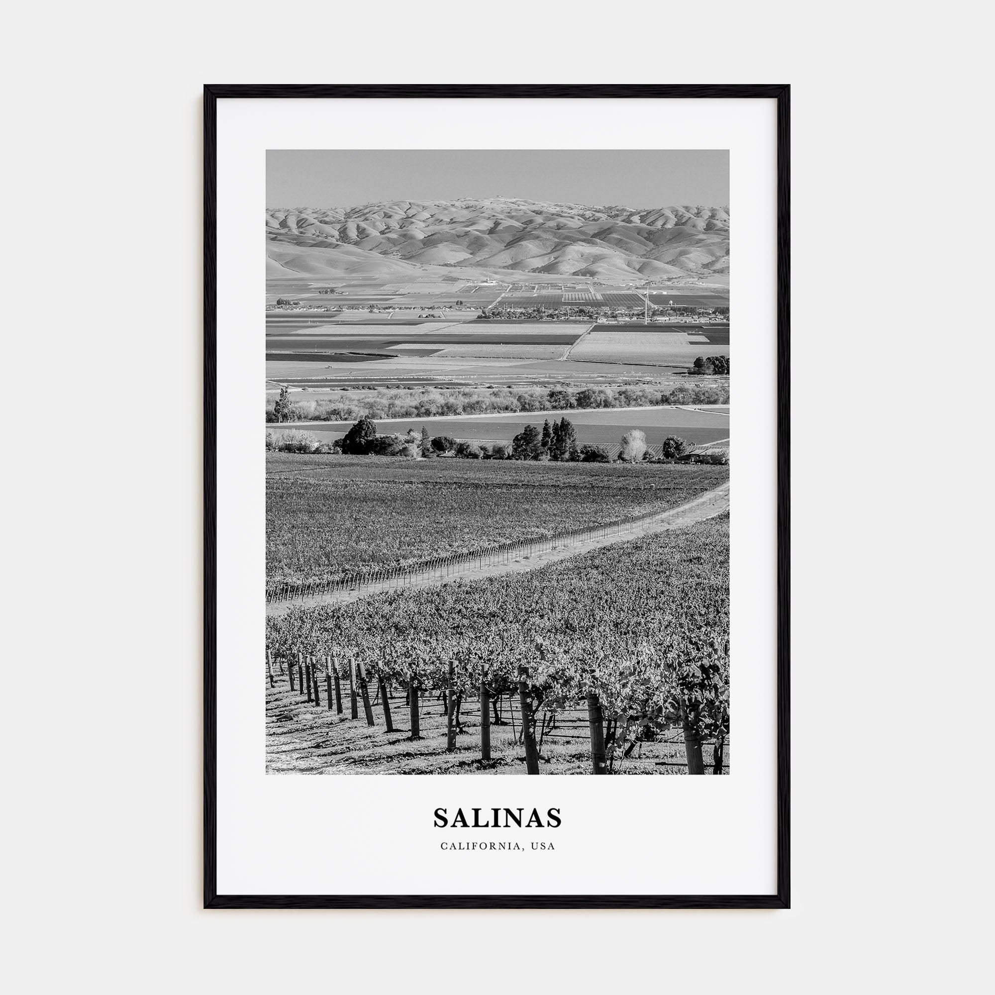 Salinas Portrait B&W Poster