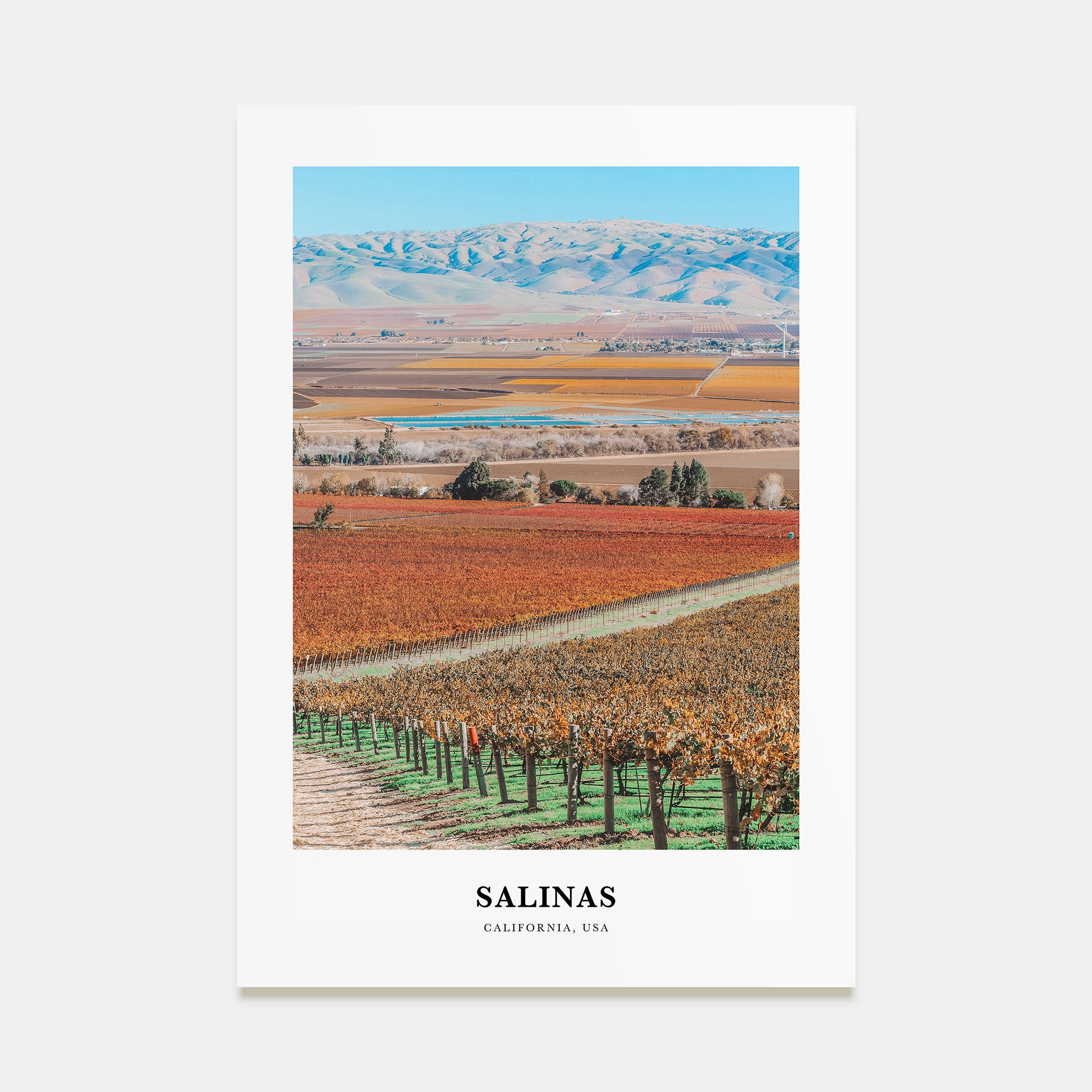 Salinas Portrait Color Poster