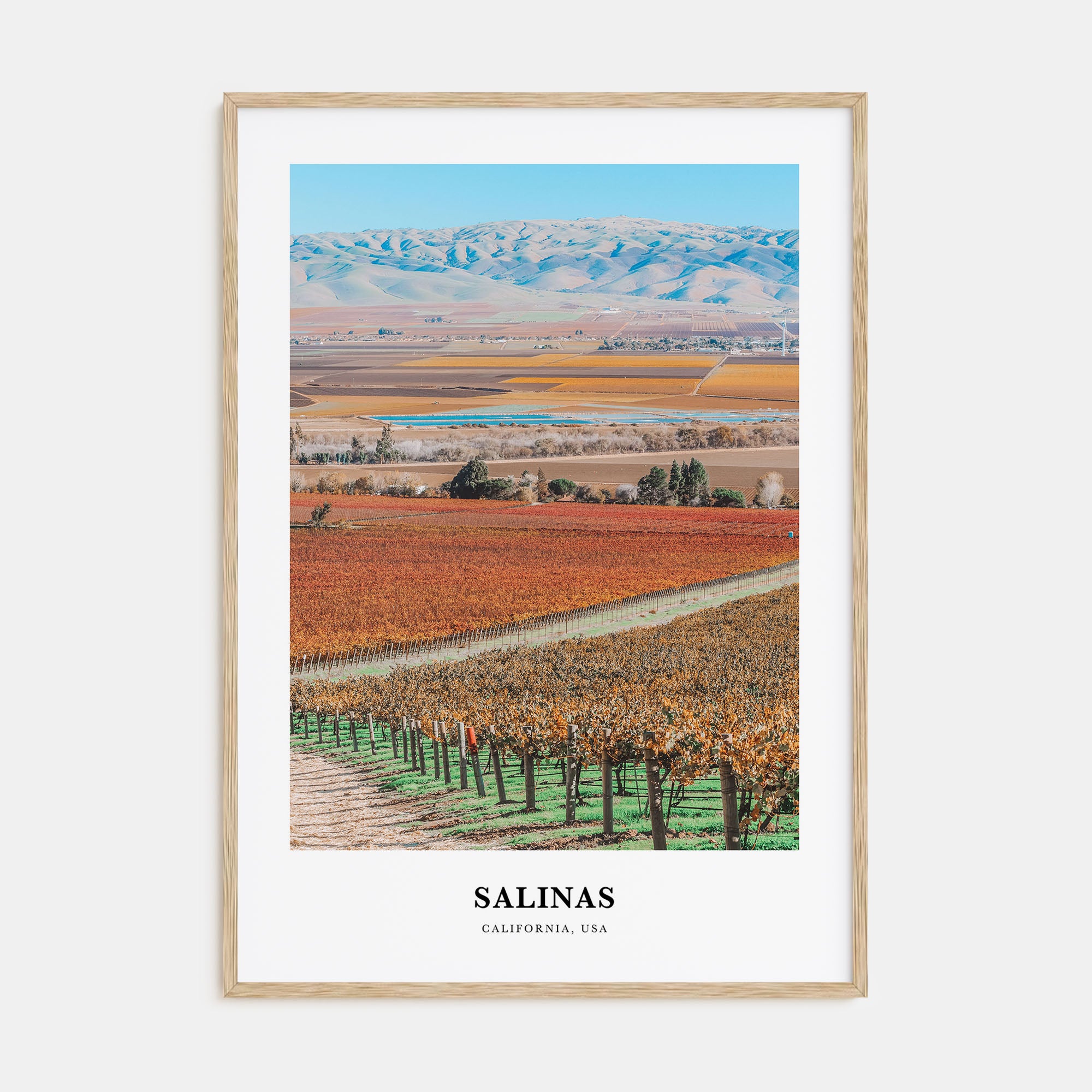 Salinas Portrait Color Poster
