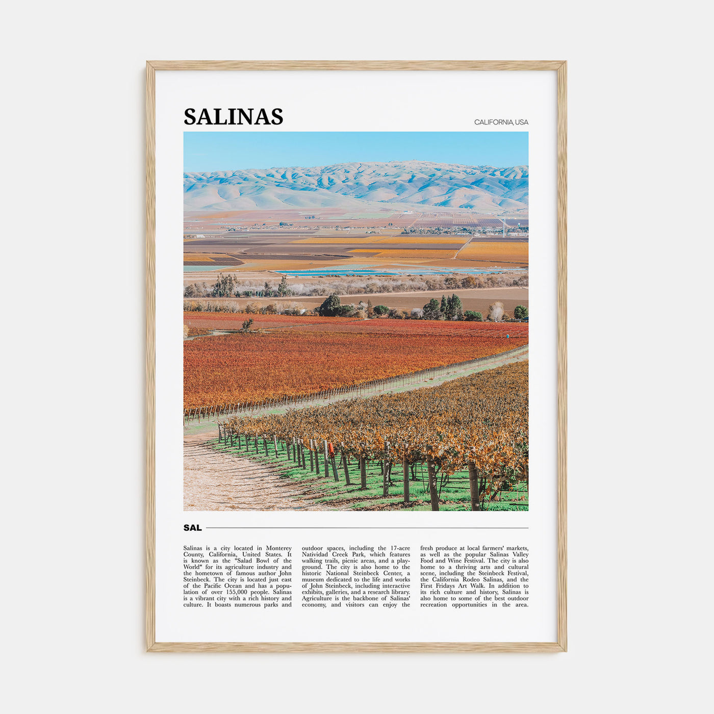 Salinas Travel Color Poster
