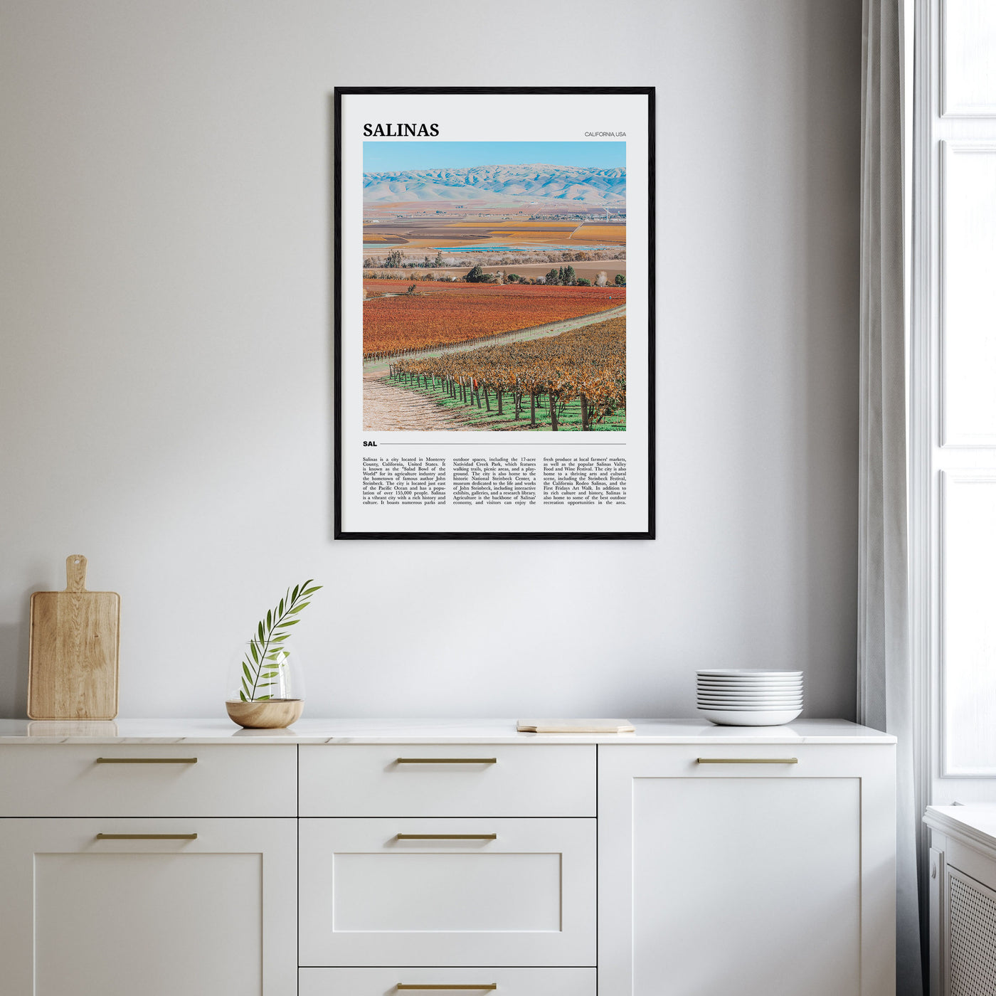 Salinas Travel Color Poster