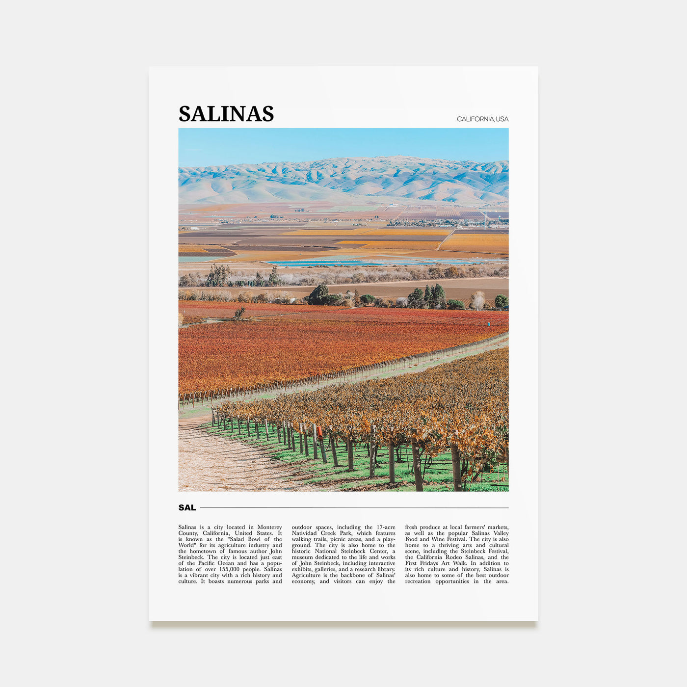 Salinas Travel Color Poster