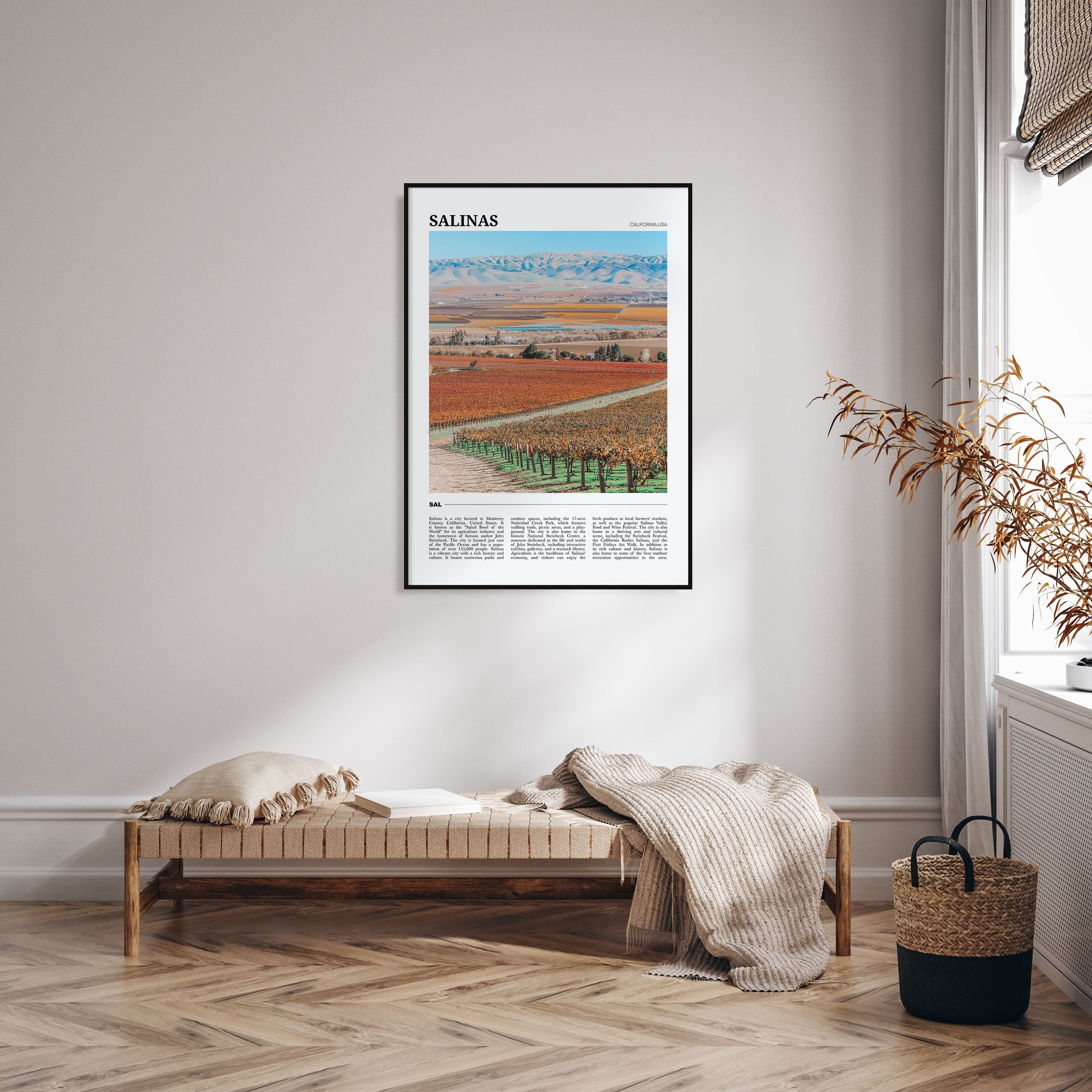 Salinas Travel Color Poster