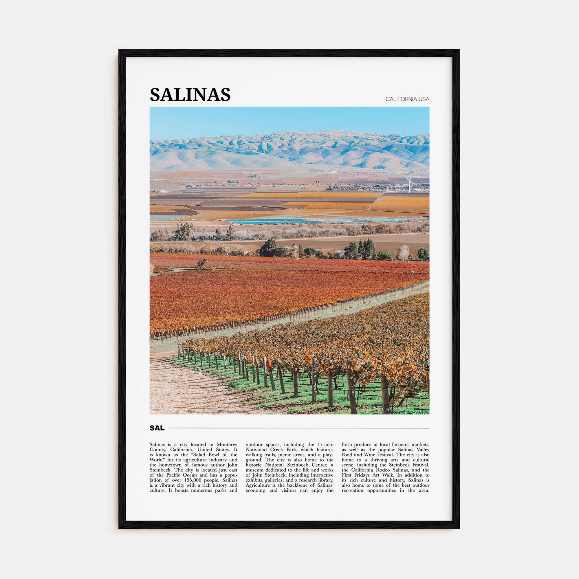 Salinas Travel Color Poster