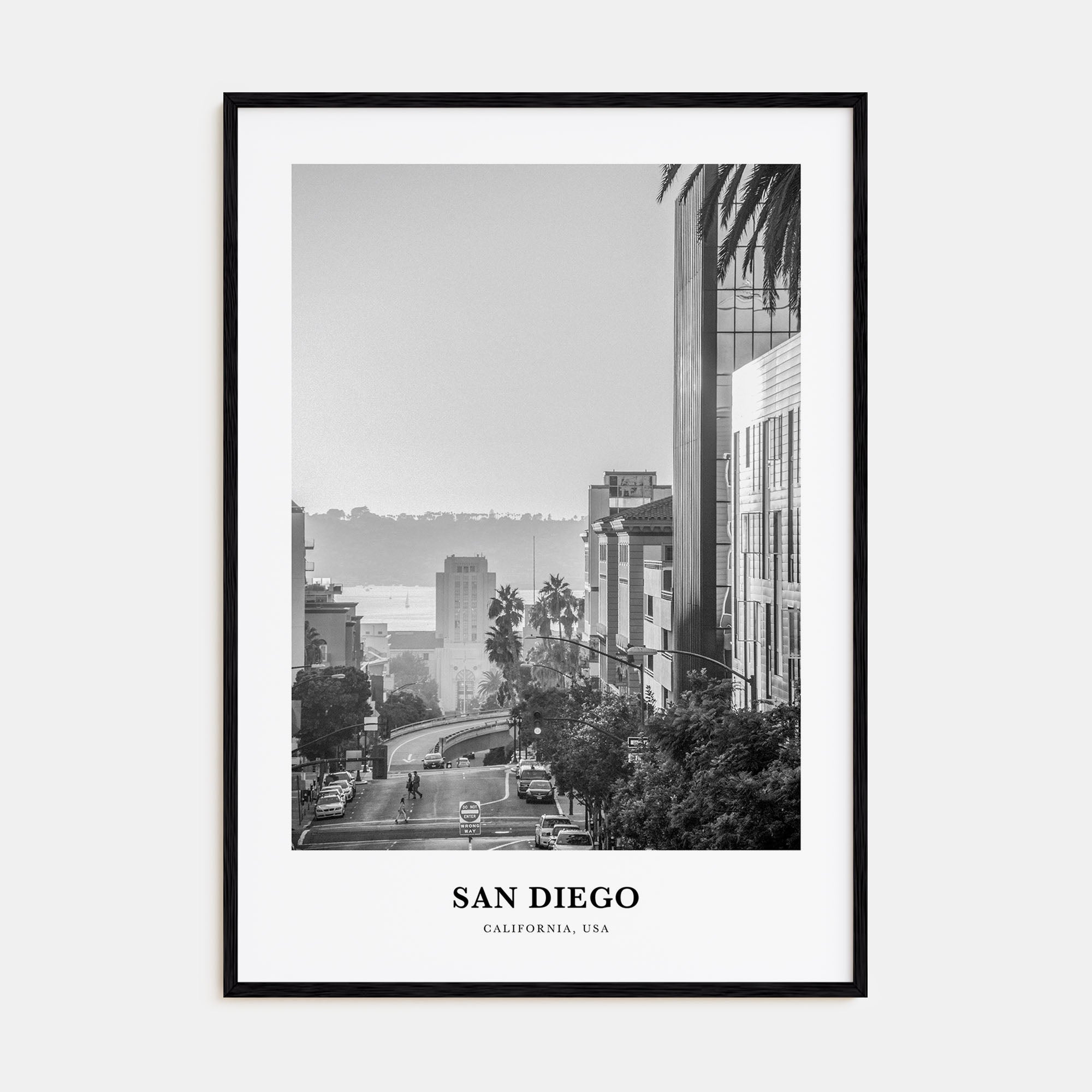 San Diego Portrait B&W No 5 Poster