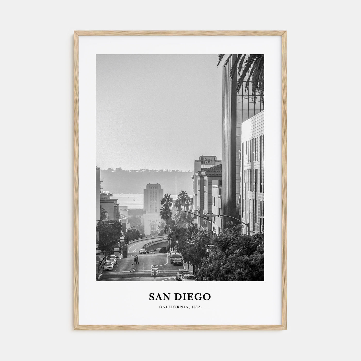 San Diego Portrait B&W No 5 Poster