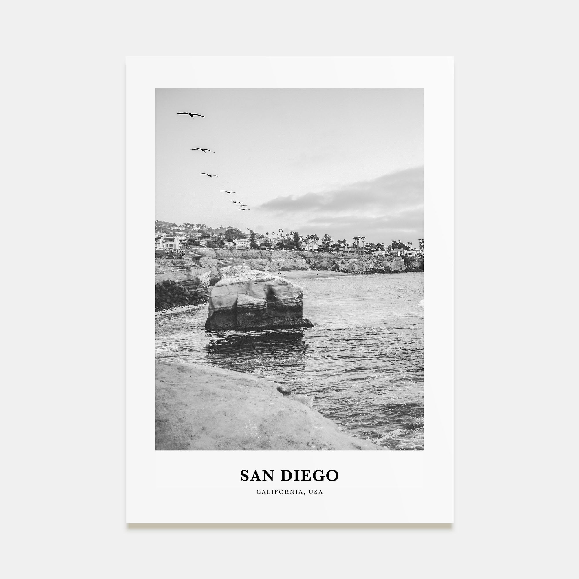 San Diego Portrait B&W No 6 Poster