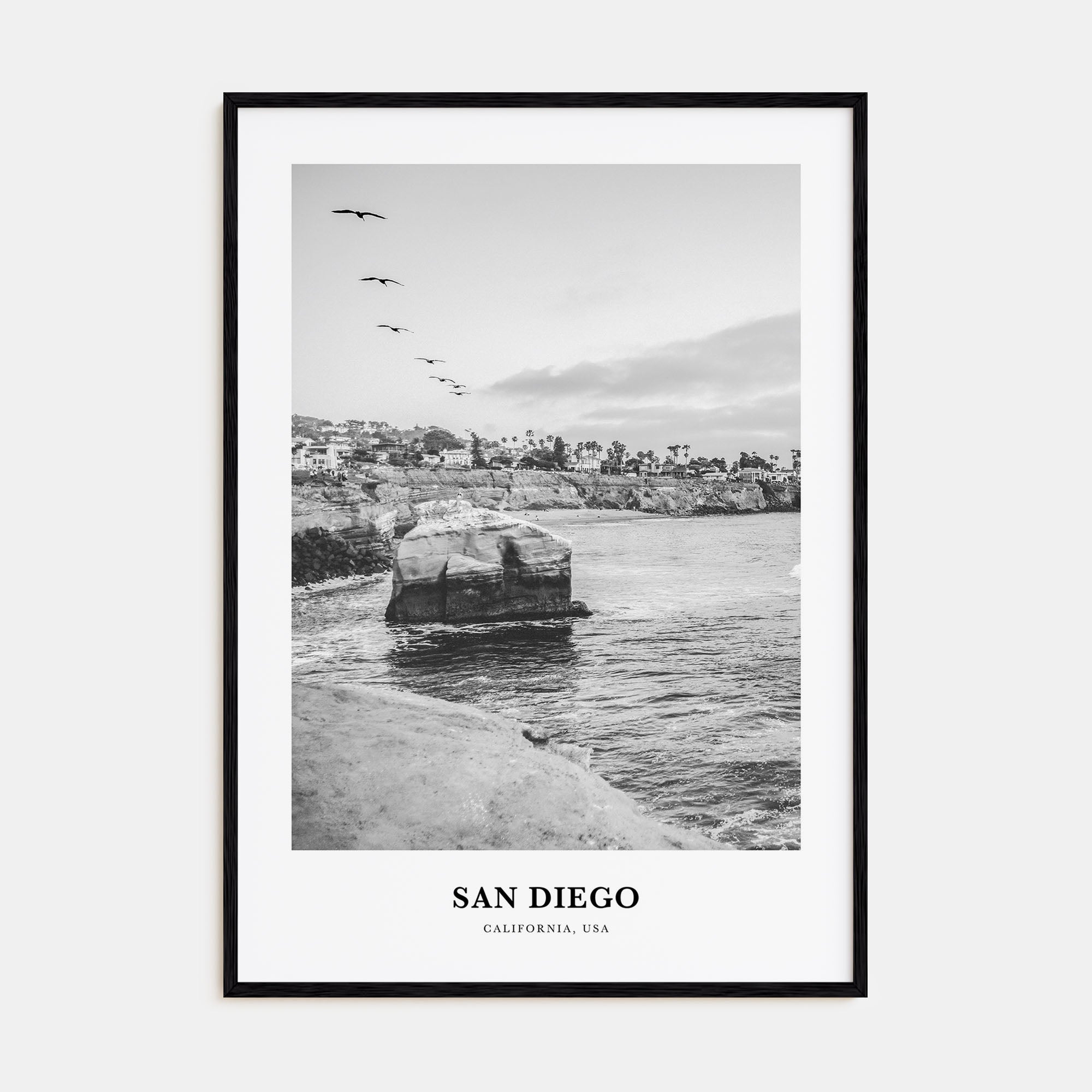 San Diego Portrait B&W No 6 Poster