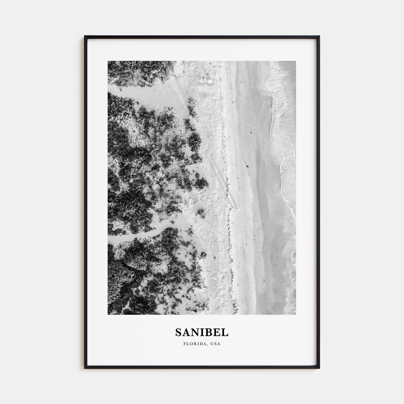 Sanibel Portrait B&W Poster