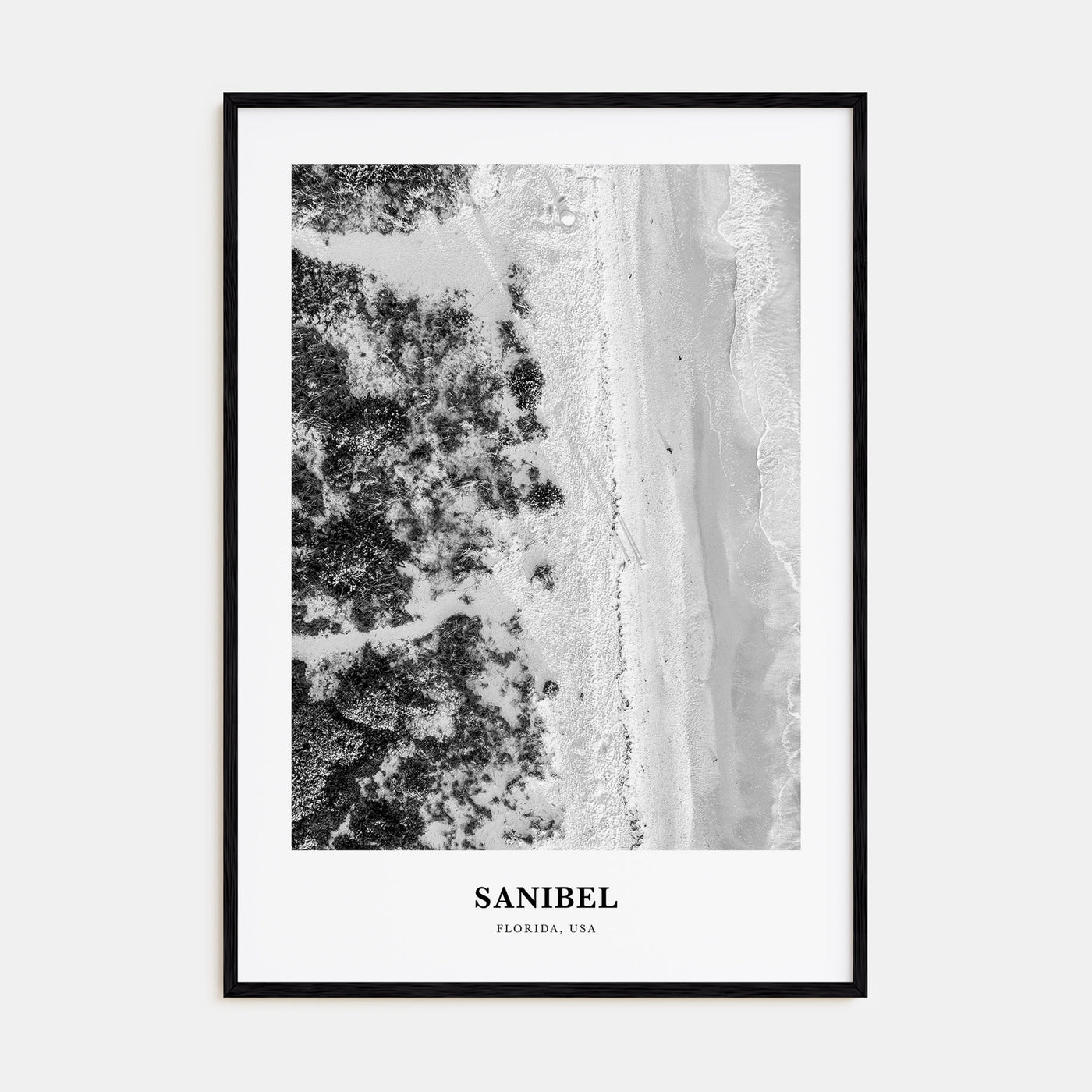 Sanibel Portrait B&W Poster