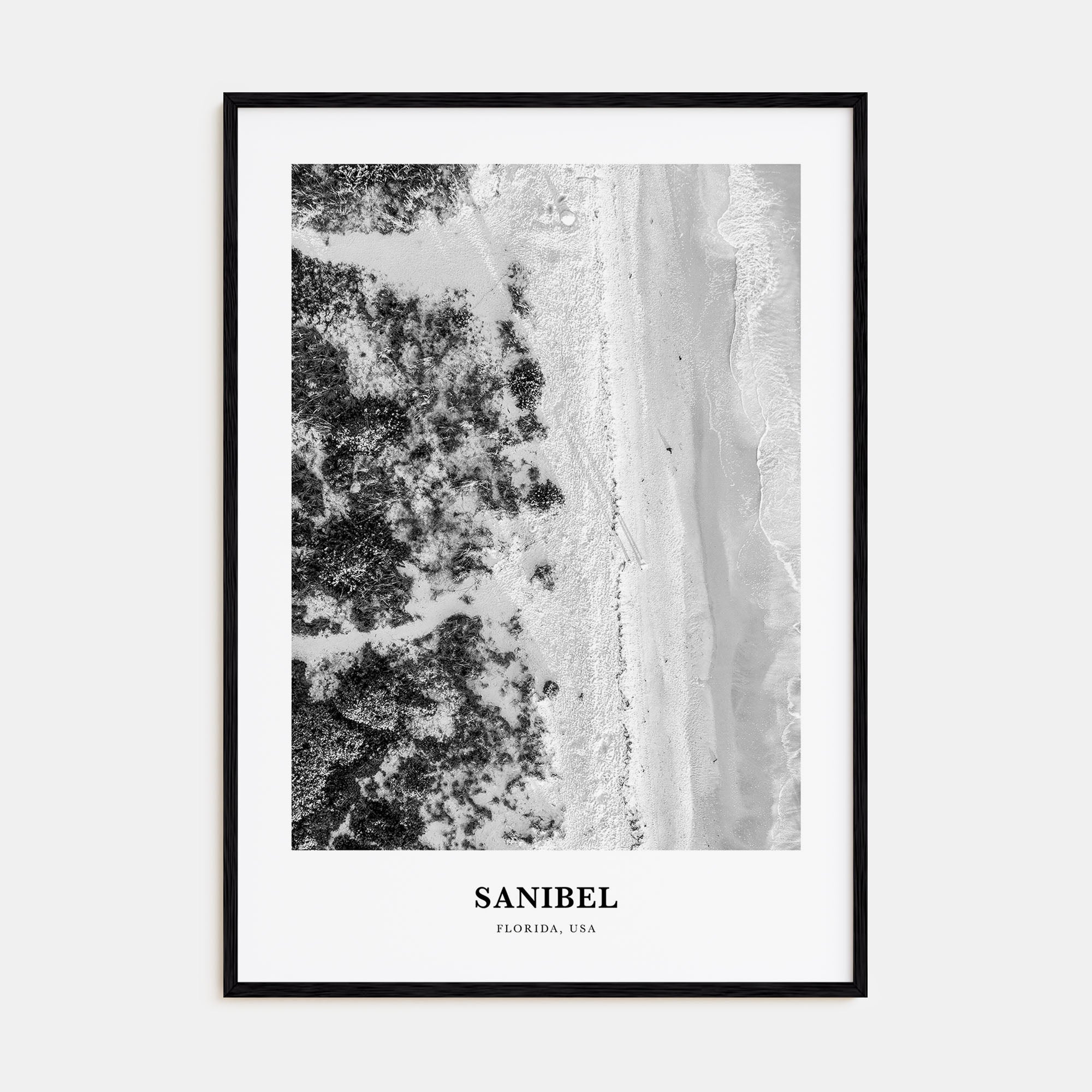 Sanibel Portrait B&W Poster