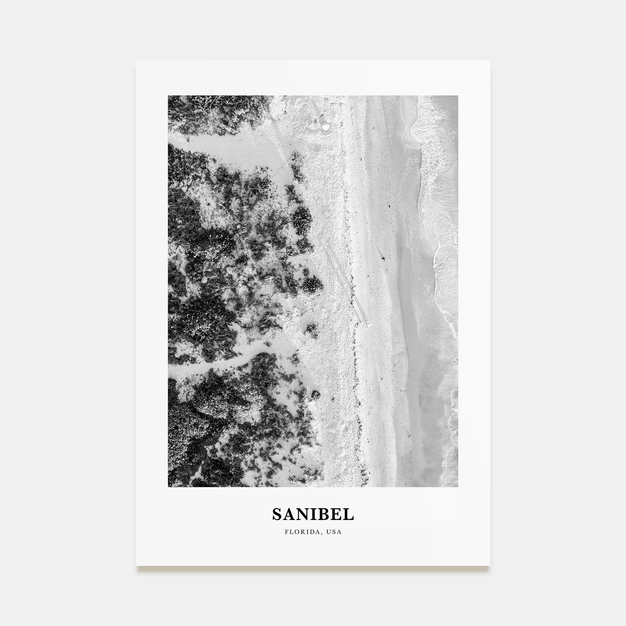 Sanibel Portrait B&W Poster