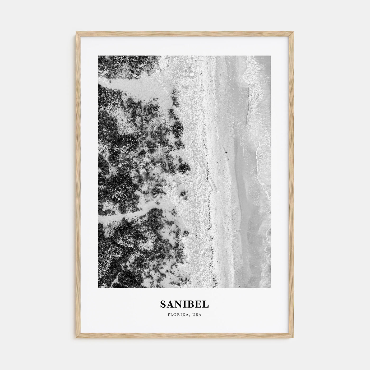 Sanibel Portrait B&W Poster