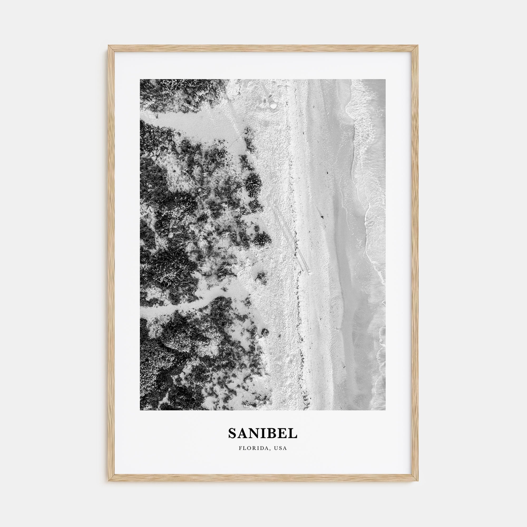 Sanibel Portrait B&W Poster