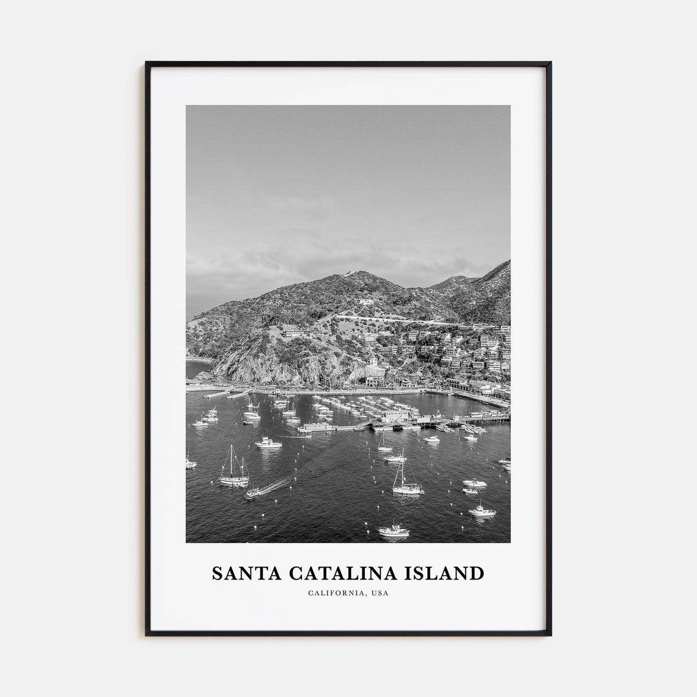 Santa Catalina Island Portrait B&W No 2 Poster