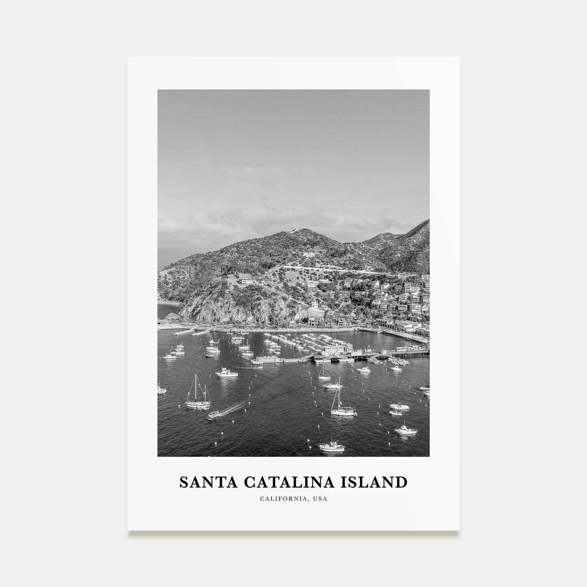 Santa Catalina Island Portrait B&W No 2 Poster