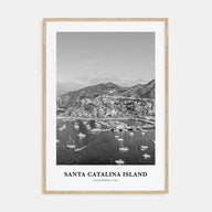 Santa Catalina Island Portrait B&W No 2 Poster