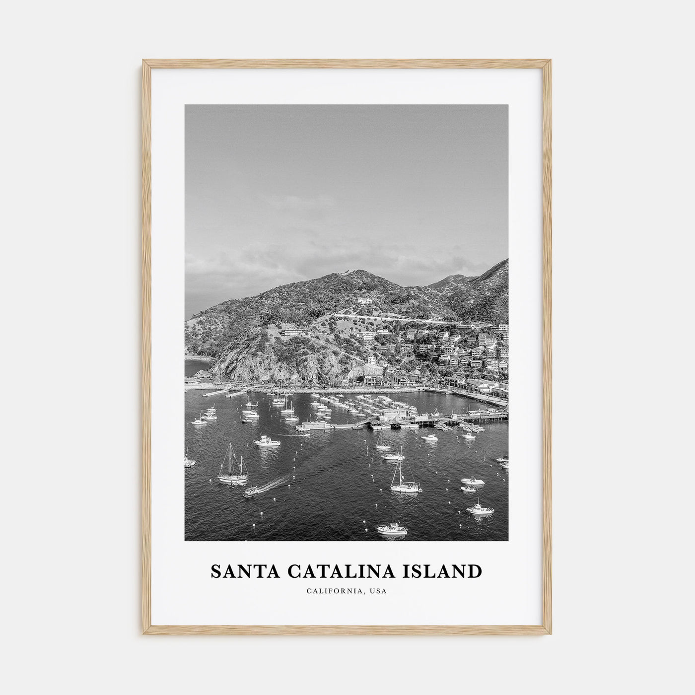 Santa Catalina Island Portrait B&W No 2 Poster