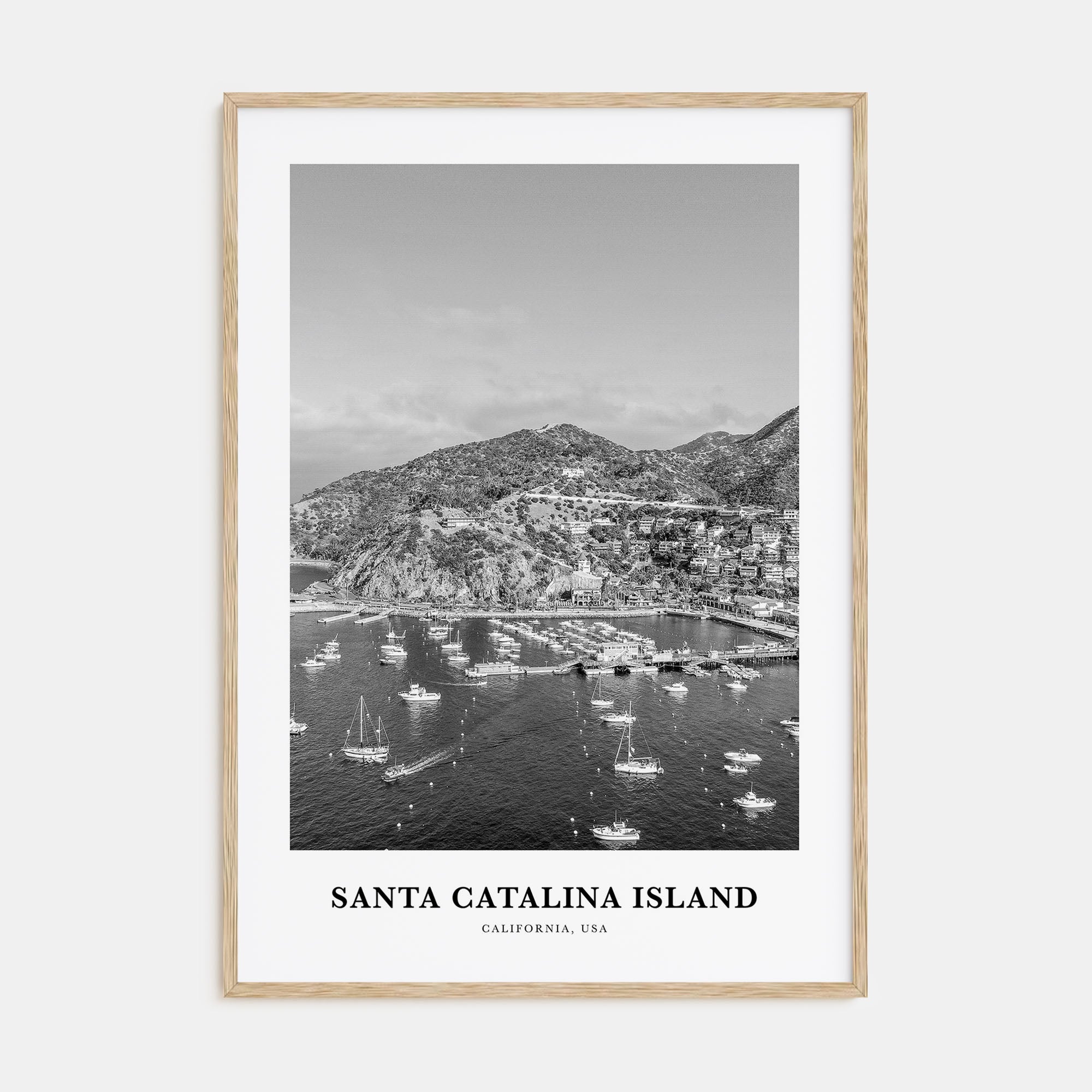 Santa Catalina Island Portrait B&W No 2 Poster