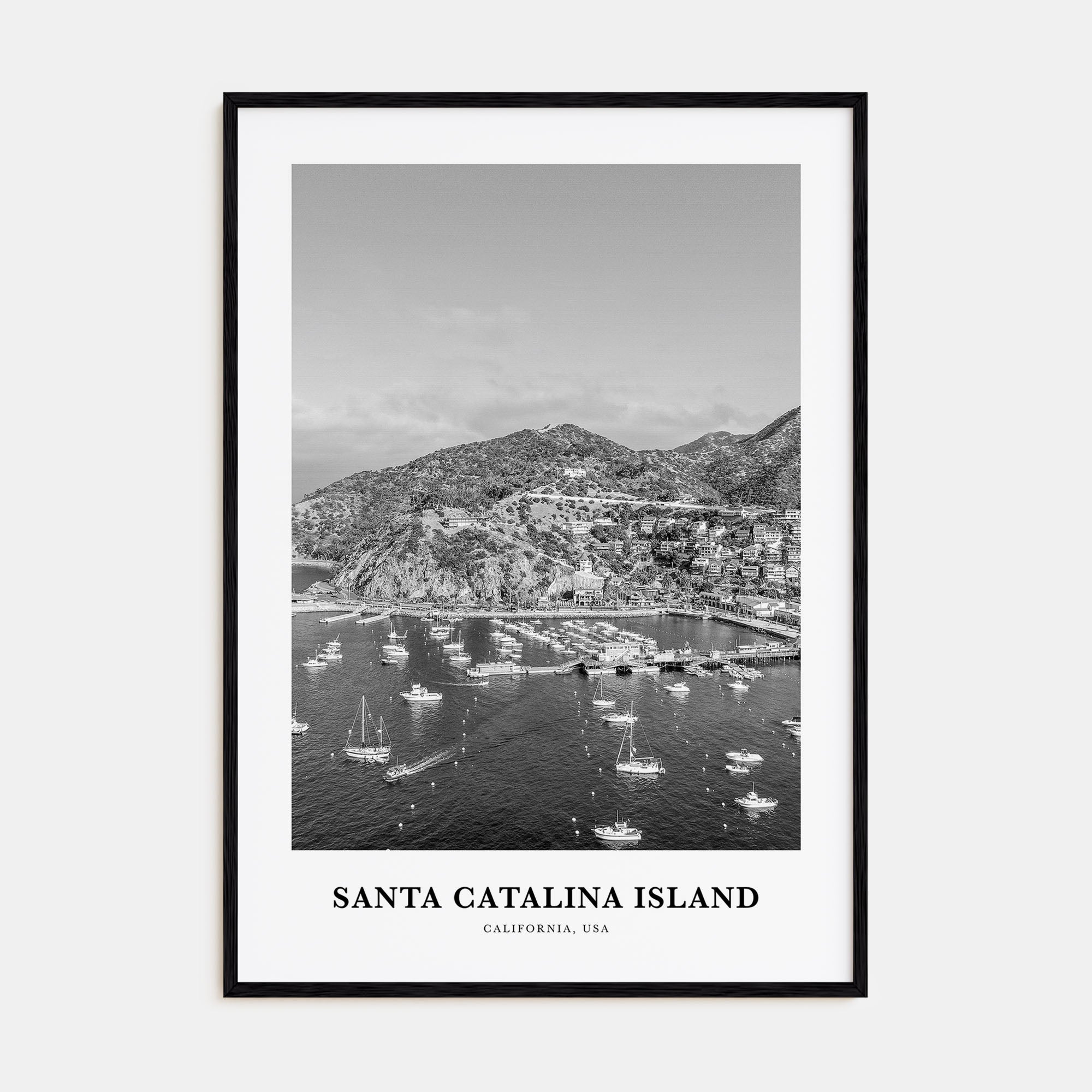 Santa Catalina Island Portrait B&W No 2 Poster