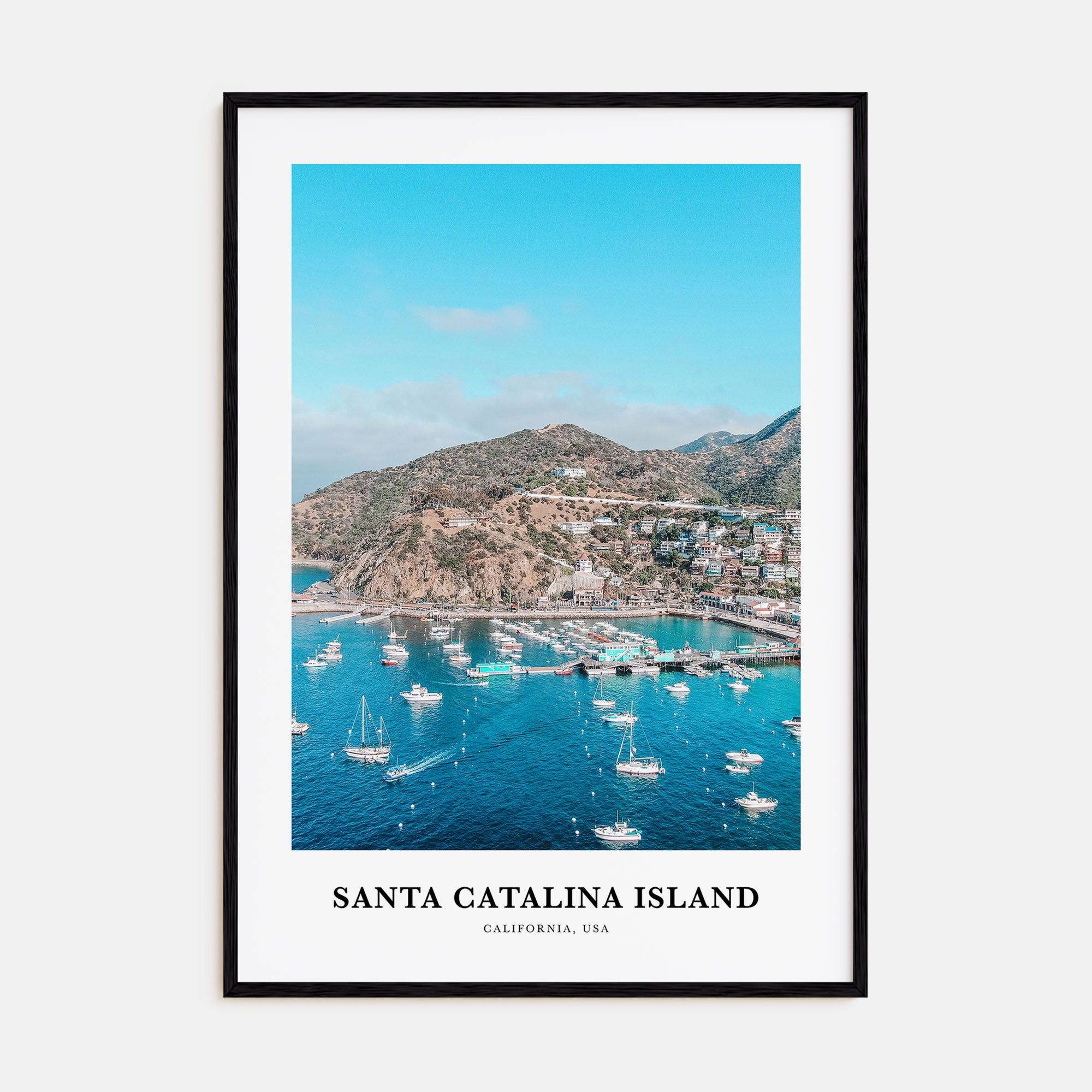 Santa Catalina Island Portrait Color Poster